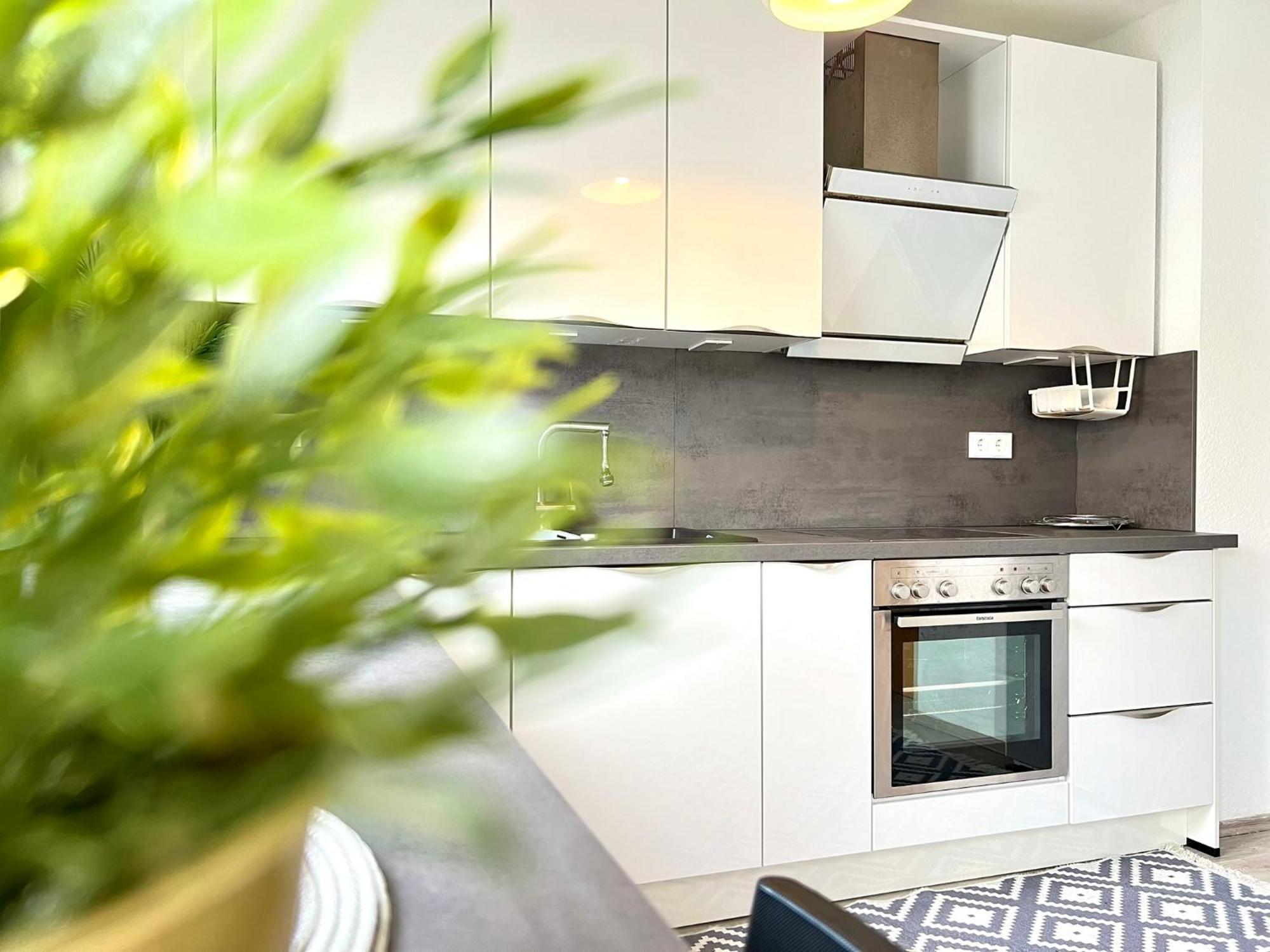 Comfy Apartment Mit Garten In Koeln エクステリア 写真